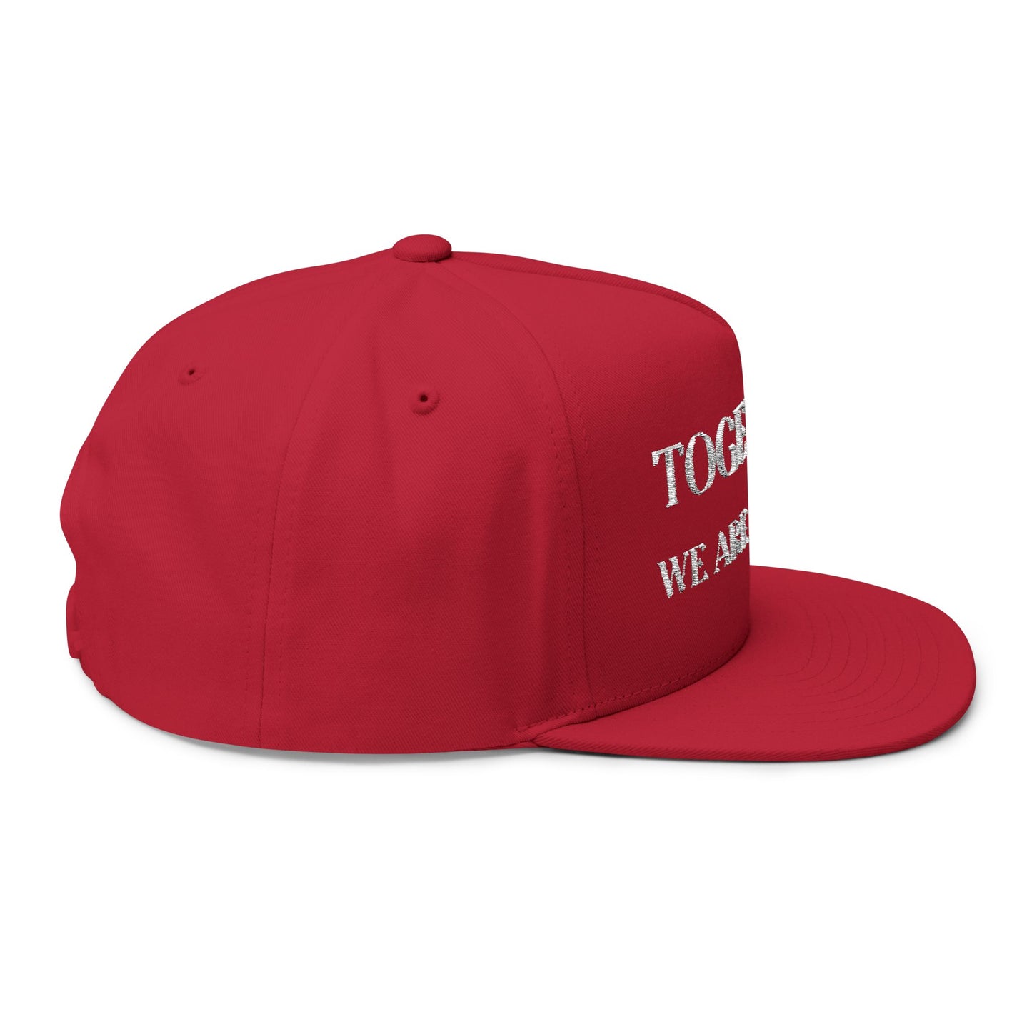 Together, We Are America Snapback
