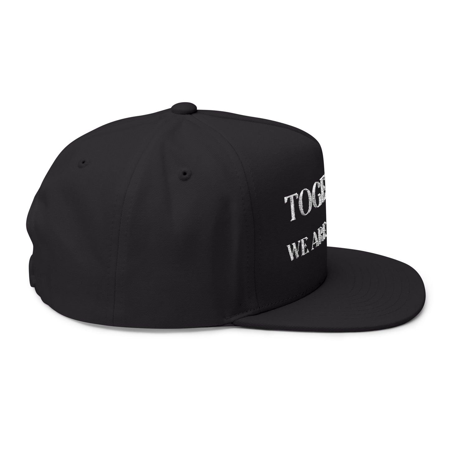 Together, We Are America Snapback